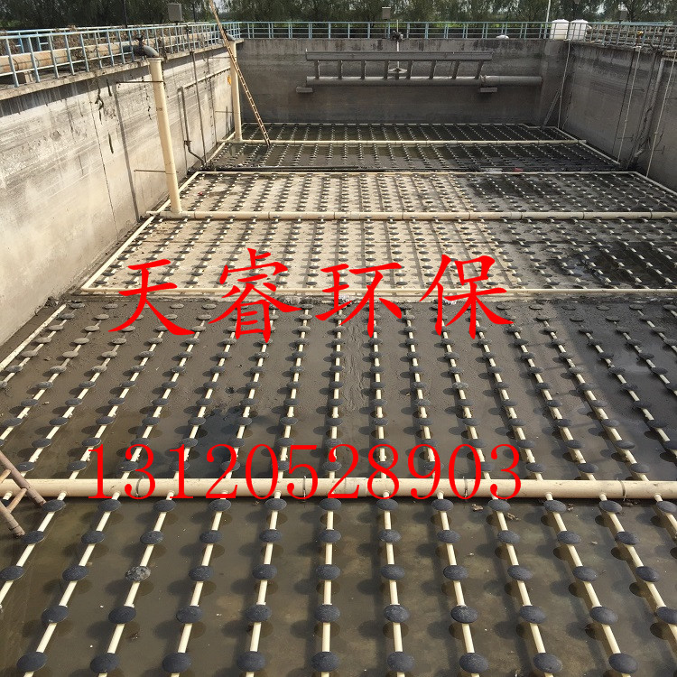 大慶天睿環(huán)保供應(yīng)  生化池曝氣頭