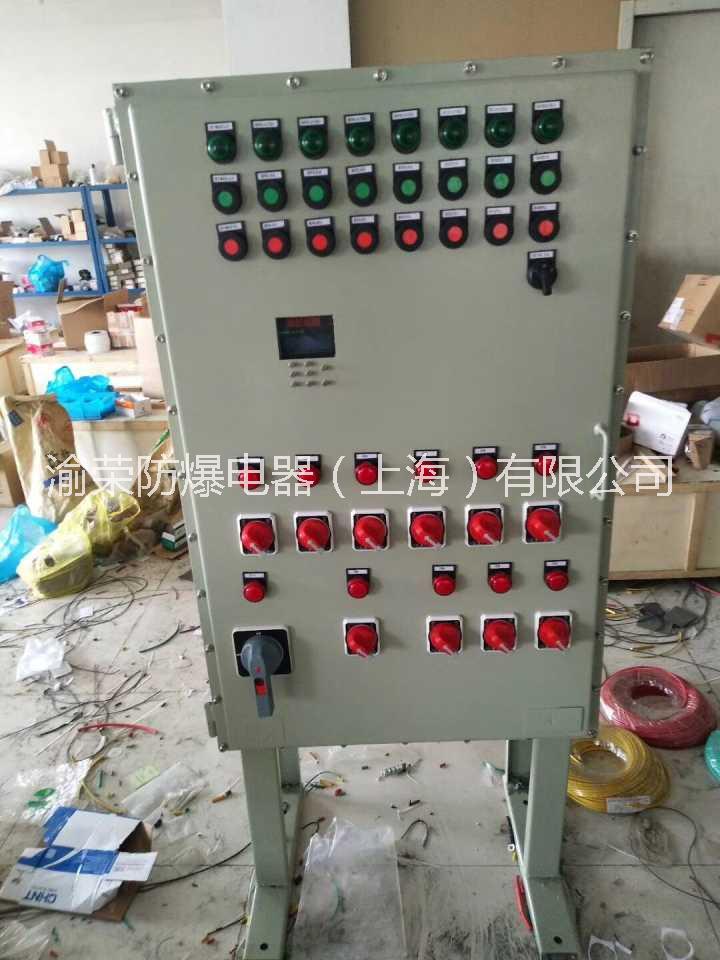 上海專業(yè)十年非標(biāo)防爆配電箱渝榮防爆定做