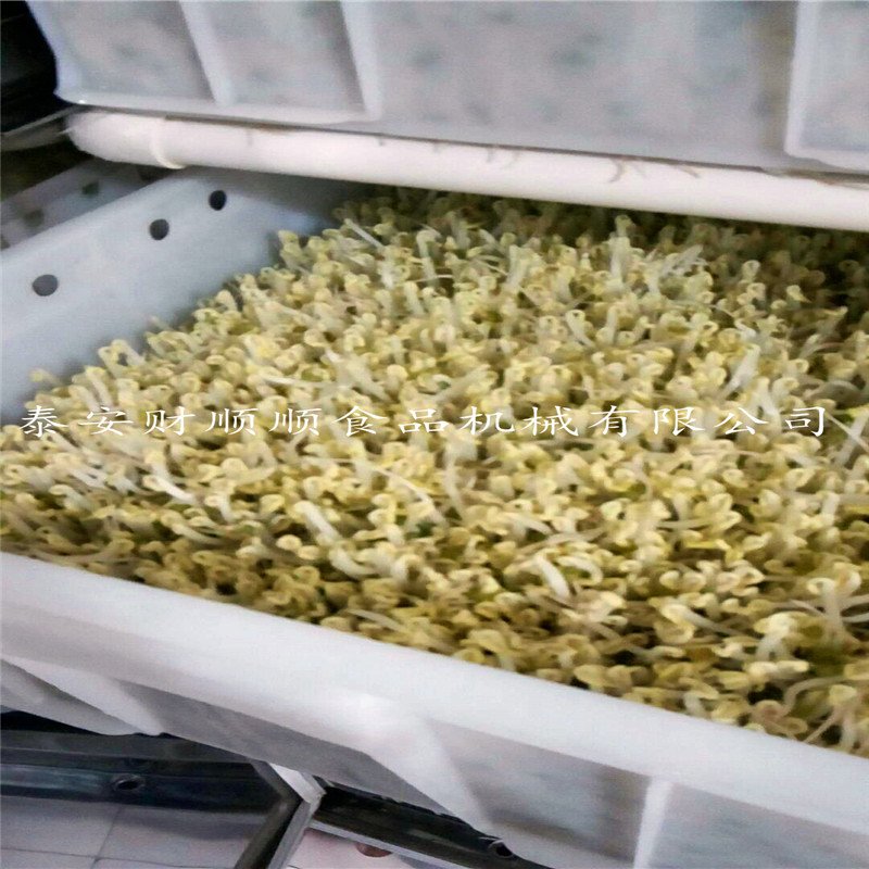 萊蕪全自動(dòng)豆芽機(jī)價(jià)格環(huán)保型芽苗機(jī)價(jià)格實(shí)惠誠(chéng)招代理