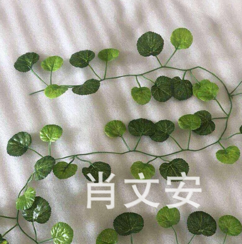 假花爬山虎供應(yīng)商 假花爬山虎 綠色假樹葉藤蔓供應(yīng)商 綠色假樹葉藤蔓廠家 假花爬山虎廠家