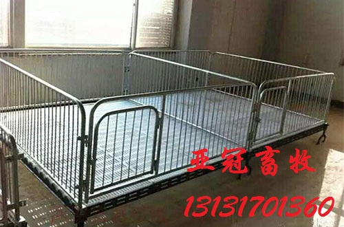 仔豬雙保育床設(shè)計2.2*3.6m仔豬雙體保育床多少錢