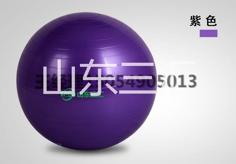 導(dǎo)樂球