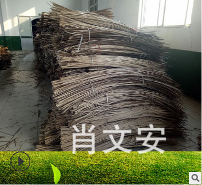 全國  蒸柳 柳條皮供應(yīng)商  紅皮柳供應(yīng)商 柳條皮廠家 蒸柳供應(yīng)商 蒸柳批發(fā) 蒸柳廠家