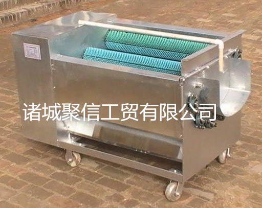 土豆去皮毛輥清洗機(jī)山東諸城聚信
