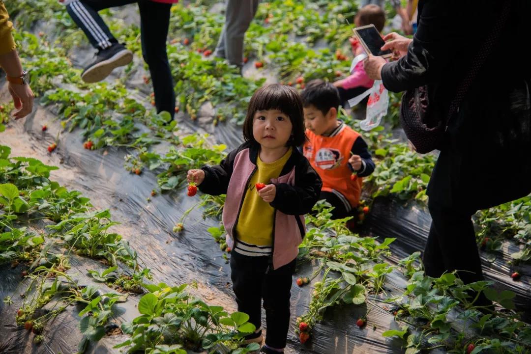 鄭州BBunion國際早教
