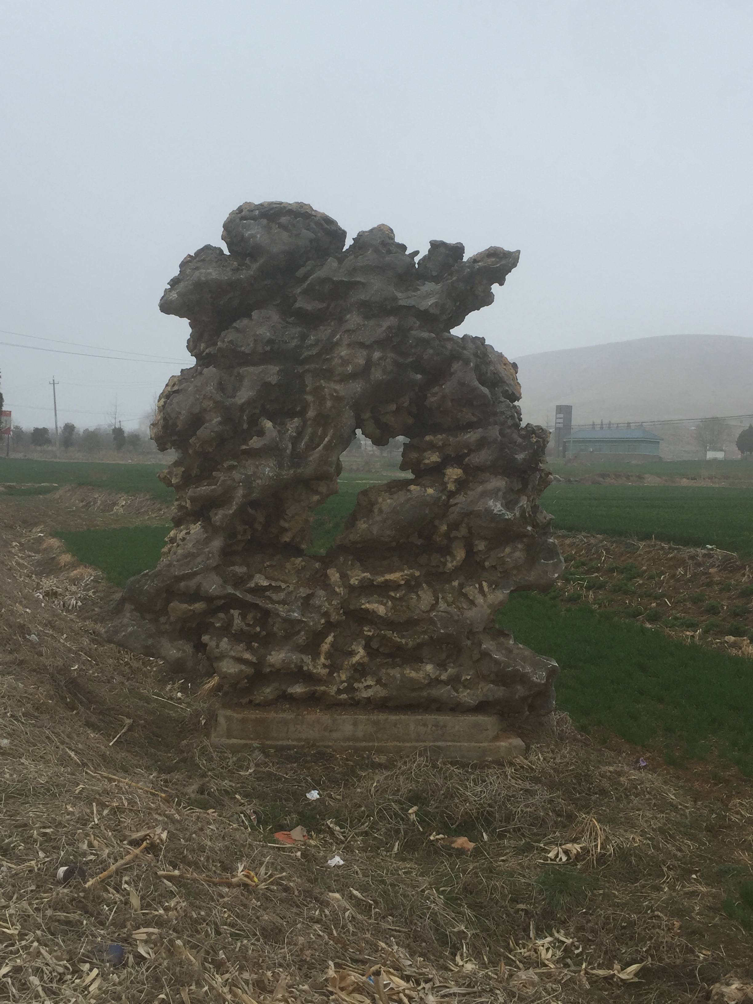 園林景觀石專業(yè)制作廠，宿州園林景觀石專業(yè)制作廠，日照?qǐng)@林景觀石專業(yè)制作廠