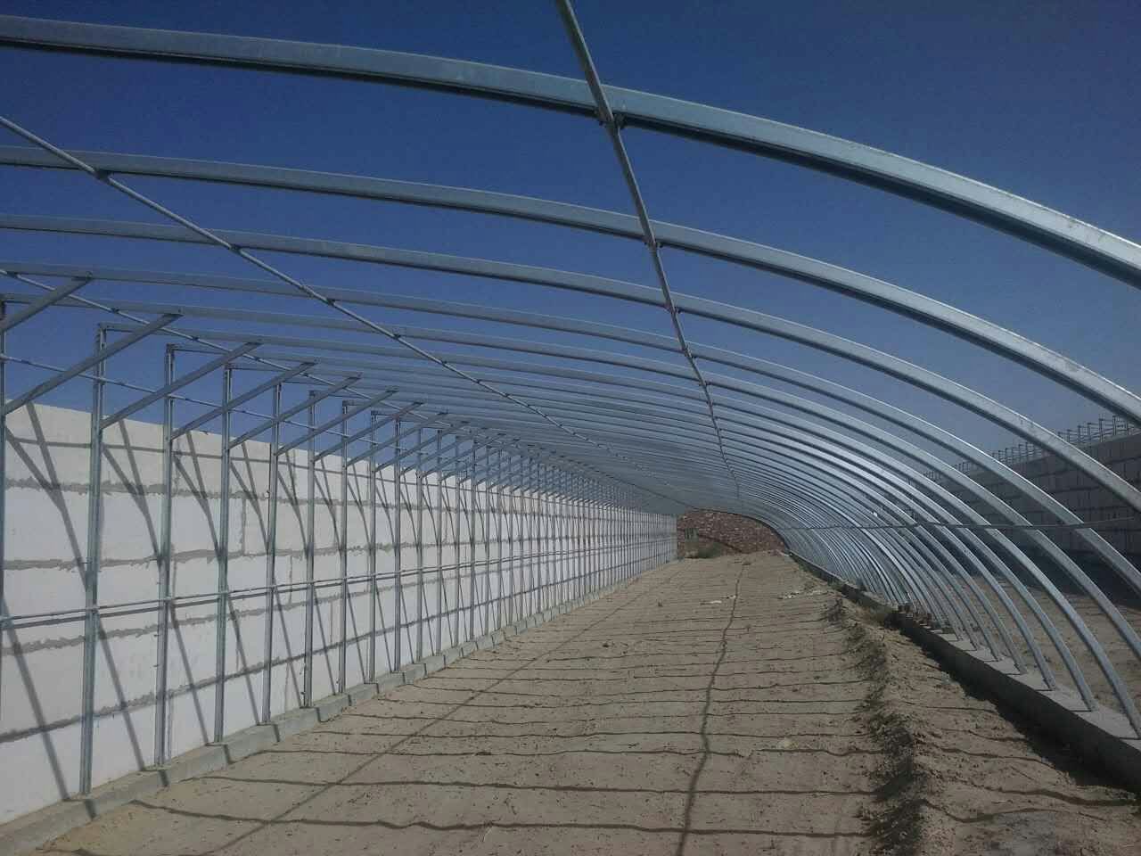 建鍍鋅帶橢圓管骨架蔬菜大棚的生產(chǎn)廠家 鍍鋅帶橢圓管骨架蔬菜大棚及養(yǎng)殖大 鍍鋅帶橢圓管骨架種植大棚及養(yǎng)殖棚