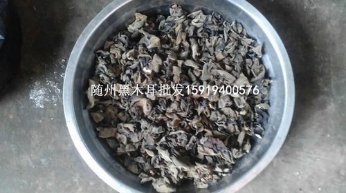 隨州椴木黑木耳批發(fā)，涢陽黑木耳