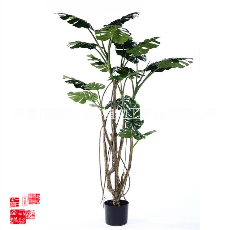 仿真龜背樹家居室內(nèi)擺設(shè) 落地龜背樹直銷 落地龜背樹供應(yīng)商 東莞落地龜背樹 落地龜背樹供應(yīng)商 東莞仿真龜背樹盆景PC061