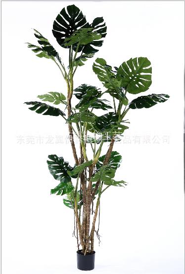 仿真龜背樹家居室內(nèi)擺設(shè) 落地龜背樹直銷 落地龜背樹供應(yīng)商 東莞落地龜背樹 落地龜背樹供應(yīng)商 東莞仿真龜背樹盆景PC061