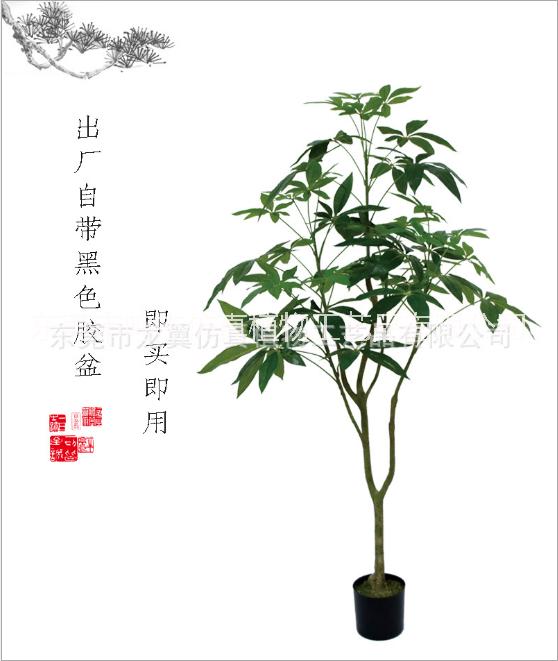 發(fā)財樹松盆室內(nèi)仿真綠植樹景觀裝飾 發(fā)財樹直銷 發(fā)財樹出廠價 發(fā)財樹報價 東莞發(fā)財樹 發(fā)財樹供應(yīng)商 仿真發(fā)財樹PC097