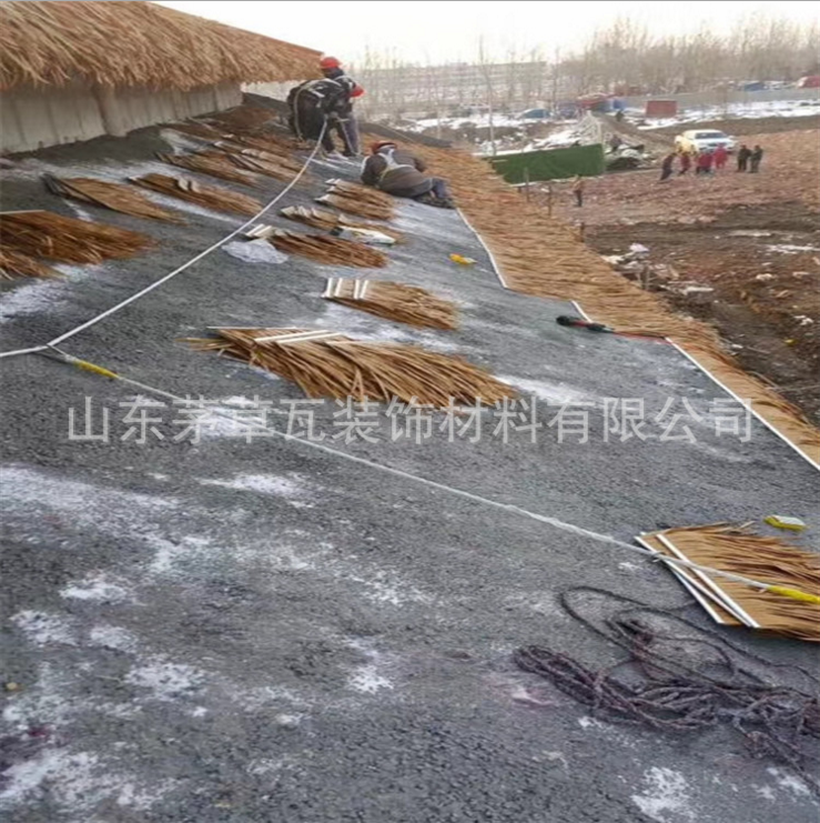 廠家直銷塑料仿真茅草瓦 景區(qū)茅草瓦 涼亭裝飾茅草瓦 涼亭裝飾茅草瓦批發(fā) 涼亭裝飾茅草瓦供應商 涼亭裝飾茅草瓦價格
