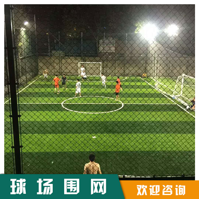 衡水市球場圍網(wǎng)廠家 供應(yīng)球場圍網(wǎng) 球場防護(hù)網(wǎng)  護(hù)欄網(wǎng) 廠家直銷 支持定制 運動場防護(hù)欄 歡迎采購