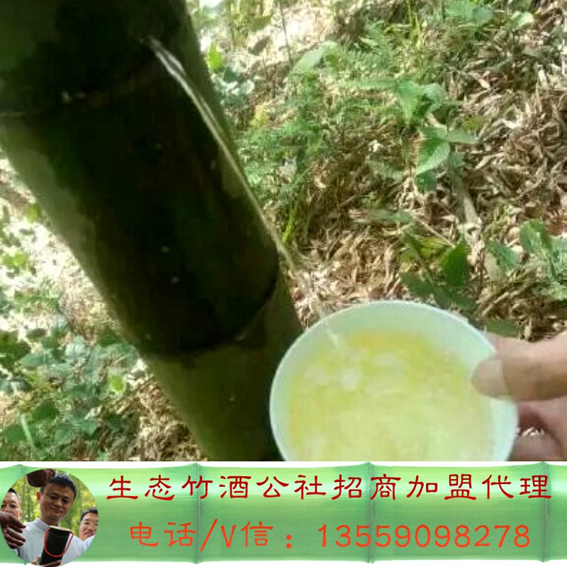 52度竹筒酒價(jià)格及圖片，竹筒酒工廠批發(fā)