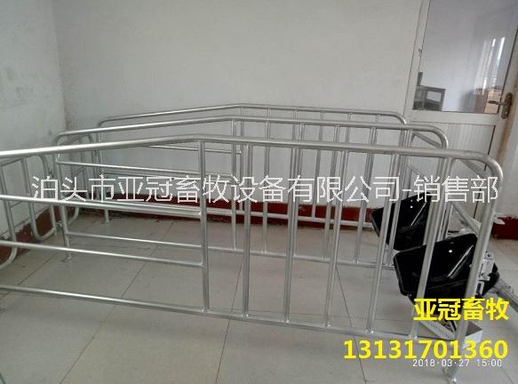 養(yǎng)豬場(chǎng)用母豬定位欄限位欄
