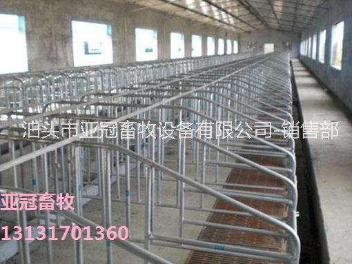 山西10個(gè)豬位帶食槽母豬限位欄大量生產(chǎn)定做
