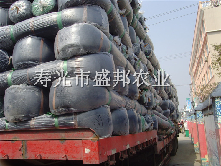 供應(yīng)黑色農(nóng)用遮陽(yáng)網(wǎng) 大棚育苗防曬網(wǎng)遮陰網(wǎng) 加密農(nóng)用黑網(wǎng)