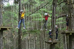 飛躍叢林設(shè)計(jì)_少年叢林穿越設(shè)施_叢林穿越裝備