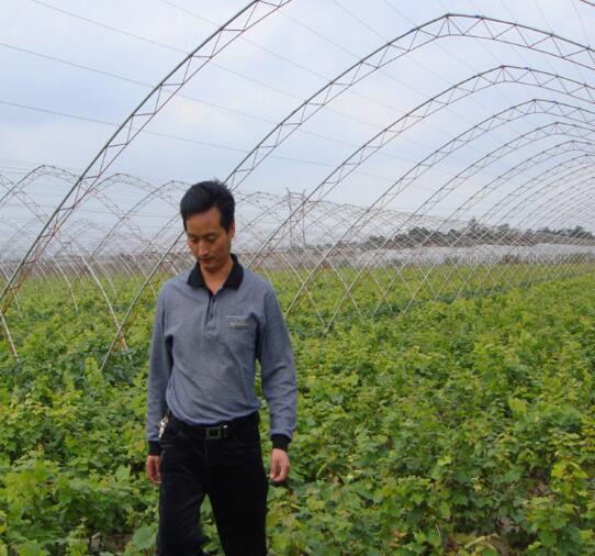 葡萄樹種植基地  葡萄樹 葡萄樹批發(fā) 葡萄樹廠家 葡萄樹價格 葡萄樹報價 葡萄樹供應商