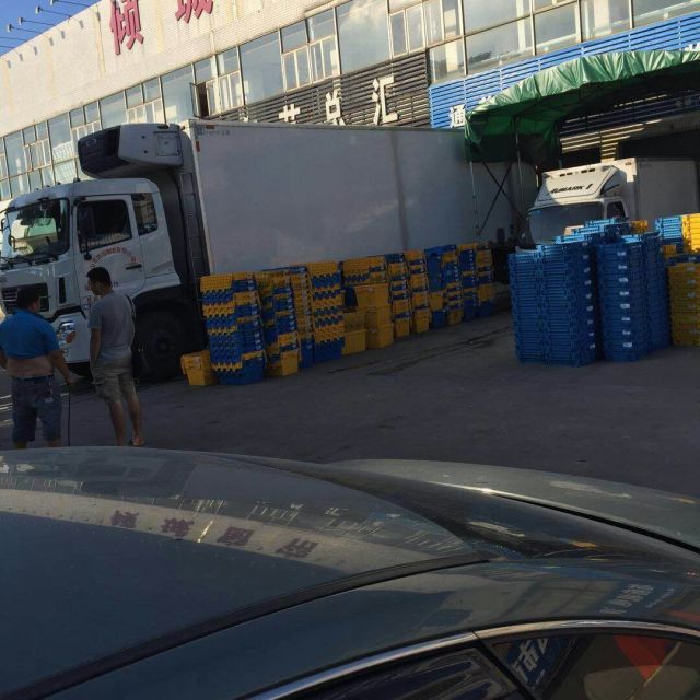 蔬菜市內(nèi)配送 蔬菜市內(nèi)配送價(jià)格 深圳市蔬菜市內(nèi)配送 承接商超配送 凍品運(yùn)輸