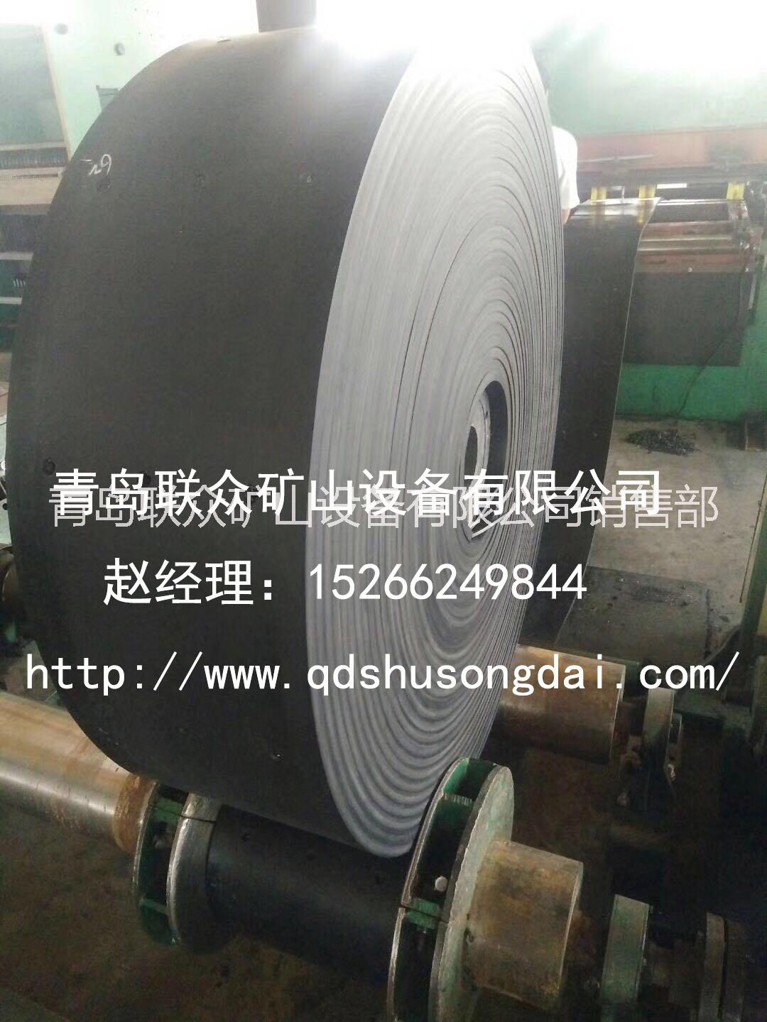 斗提機皮帶 提升帶廠家發(fā)貨價格低 鋼絲繩提升帶