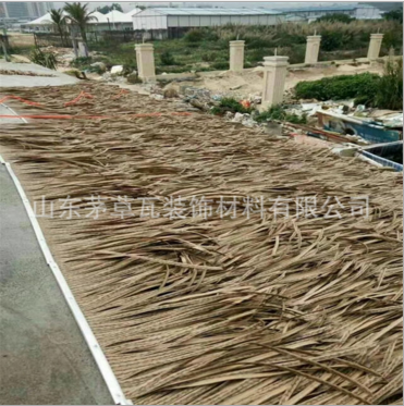 仿真茅草 PE茅草 防火茅草 人造天然茅草批發(fā) 仿真茅草直銷 仿真茅草廠家 仿真茅草價格
