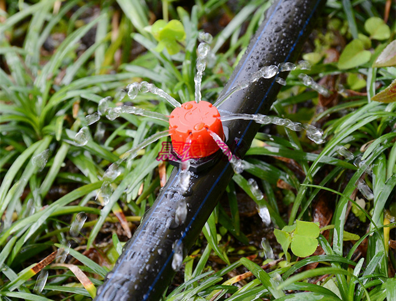 山東批發(fā)價(jià)格供應(yīng)滴灌管pe管大棚pe管滴灌廠家直銷 滴灌管pe管大棚pe管廠家直銷 滴灌管pe管大棚pe管噴