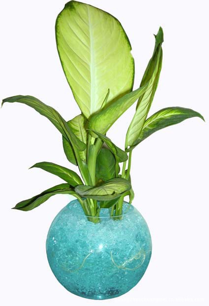 批發(fā)供應(yīng)各規(guī)格水晶珠