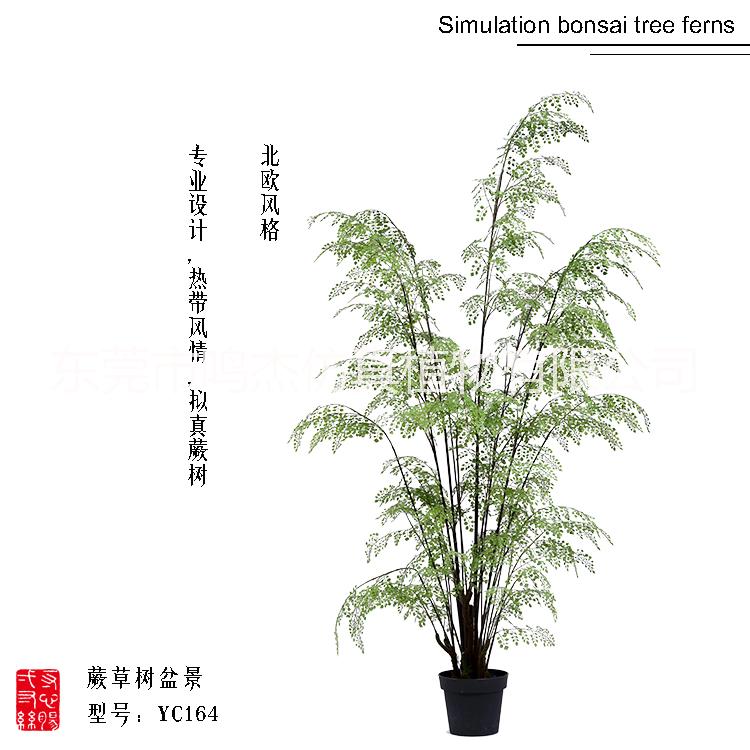 仿真波斯葉蕨草盆景羊齒蕨水杉葉巴 熱帶仿真波斯蕨草盆景 仿真波斯蕨草盆景 仿真波斯蕨草盆景仿真波斯蕨草盆景YC164-1