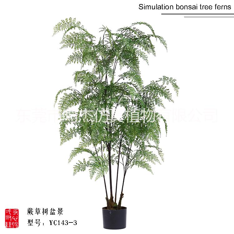 仿真波斯葉蕨草盆景羊齒蕨水杉葉巴熱帶仿真波斯蕨草盆景仿真波斯蕨草盆景YC143-1