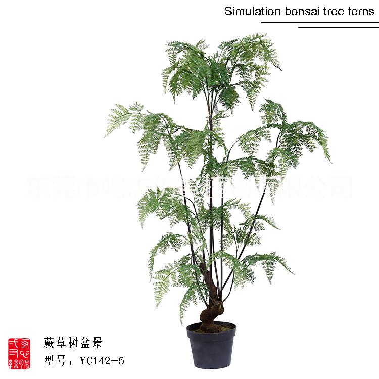 仿真波斯葉蕨草盆景羊齒蕨水杉葉巴 仿真熱帶波斯蕨草盆景 仿真波斯蕨草盆景YC142-1