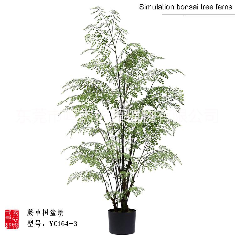 仿真波斯葉蕨草盆景羊齒蕨水杉葉巴 熱帶仿真波斯蕨草盆景 仿真波斯蕨草盆景 仿真波斯蕨草盆景仿真波斯蕨草盆景YC164-1