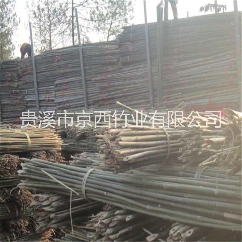 用于支撐蔬菜|綁定樹苗|竹工藝品加工的菜架竹子，竹子價格怎么樣
