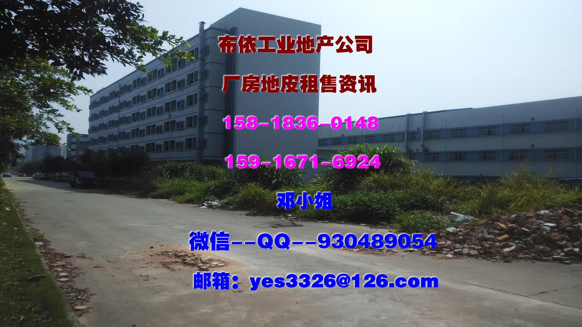 鳳崗鎮(zhèn)10000平米單層倉庫出租