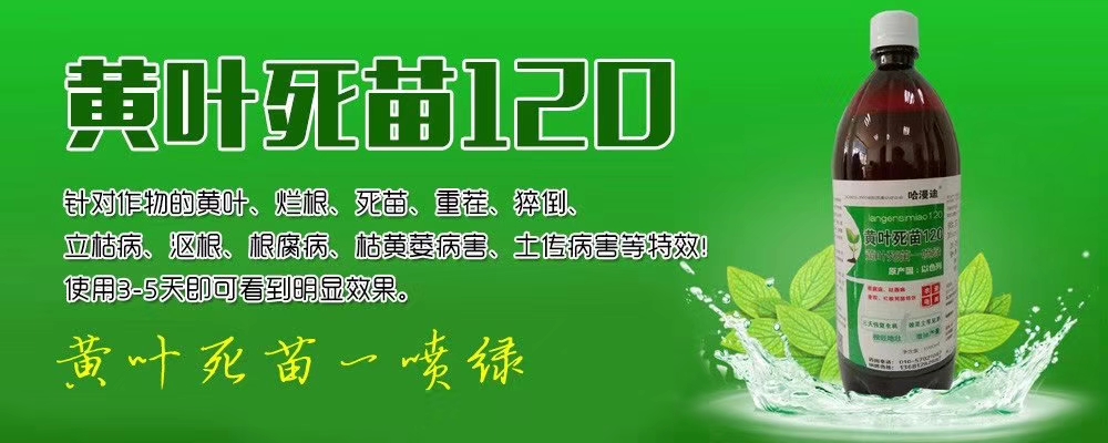 北京鑫科植保 海藻鉀 果樹葡萄柑橘草莓全營養(yǎng)農(nóng)資果樹葉面肥腐植酸鉀生根