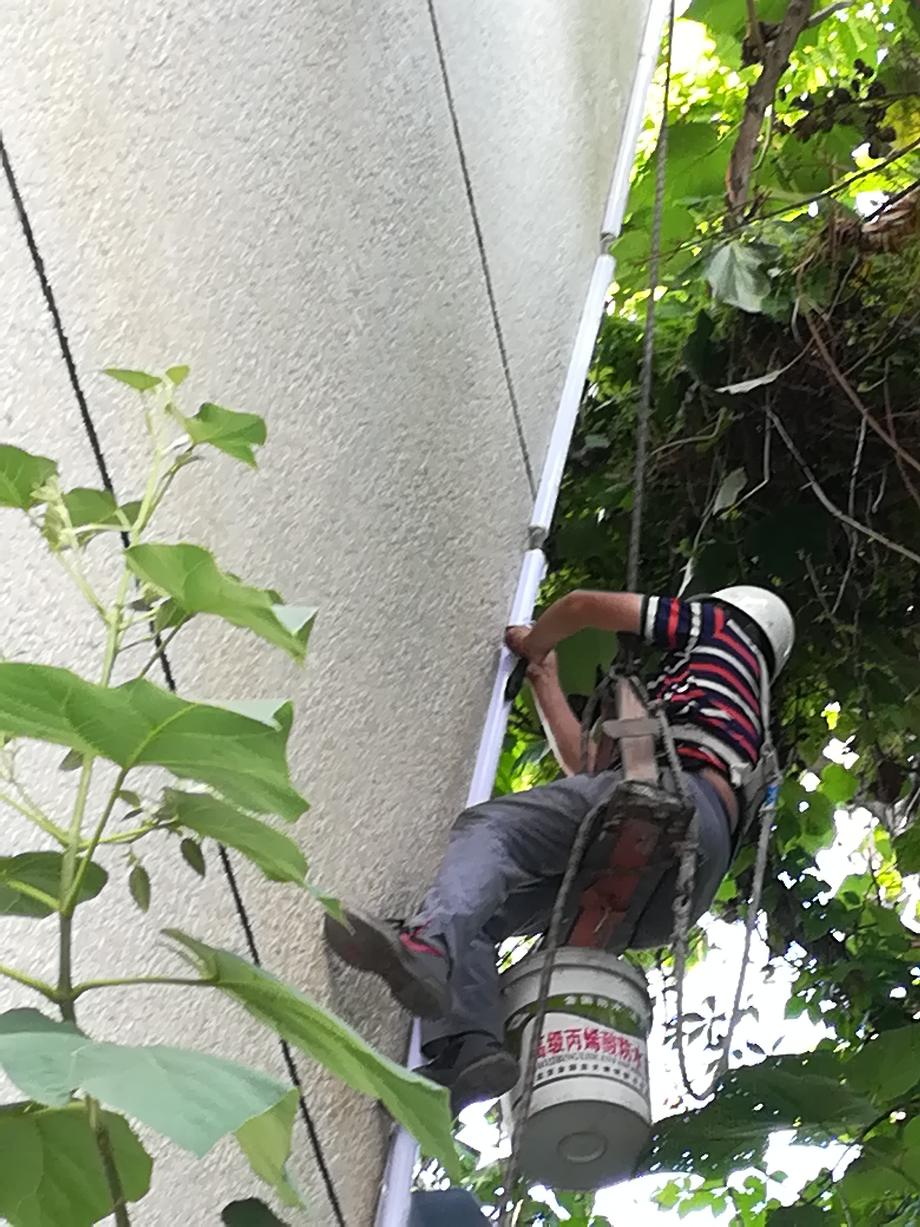 北京蜘蛛人，高空清洗，吊繩擦玻璃，幕墻清洗，單位玻璃清洗，高層外墻清洗
