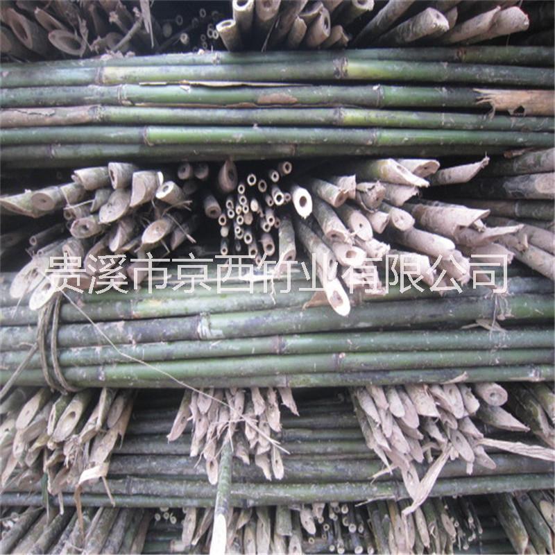 廠家大量批發(fā)2米-6米小山竹