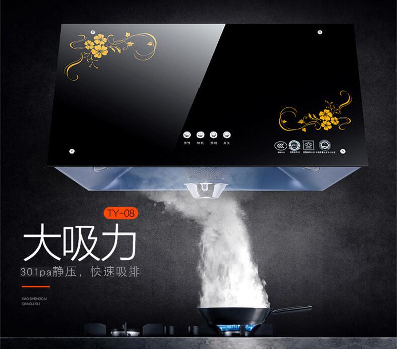 廣東批發(fā)中式大吸力抽油煙機(jī) 頂吸式全封閉家用油煙機(jī)