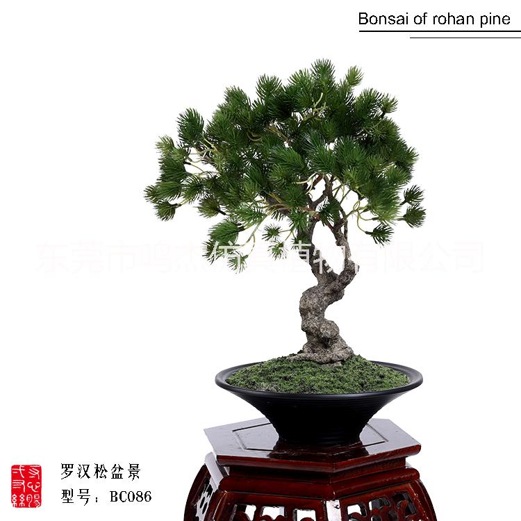 植物盆景景觀工藝品室內(nèi)庭院擺設(shè) 東莞植物盆景植物盆景生產(chǎn)廠家  仿真羅漢松盆景工藝品BC086