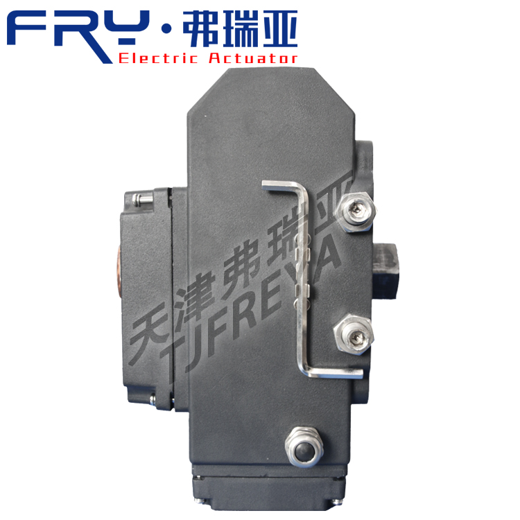 精小型電動執(zhí)行器 一體化閥門電動裝置 開關(guān)型 DCL-100