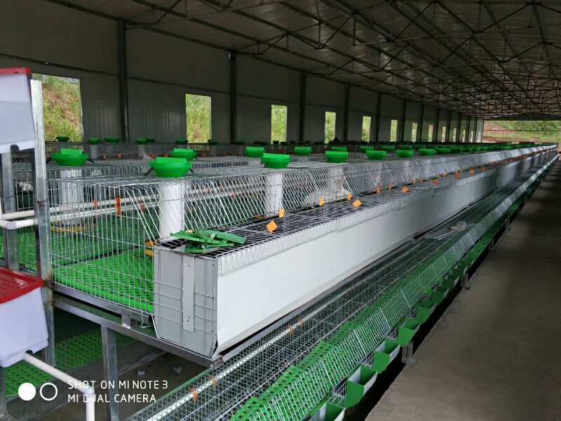 湖南兔籠價格兔舍兔子窩廠家直銷