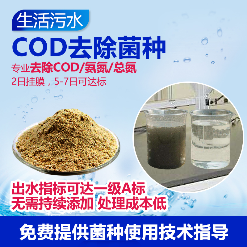 甘度 生活污水COD去* 污水處理菌  氨氮去* 復(fù)合*