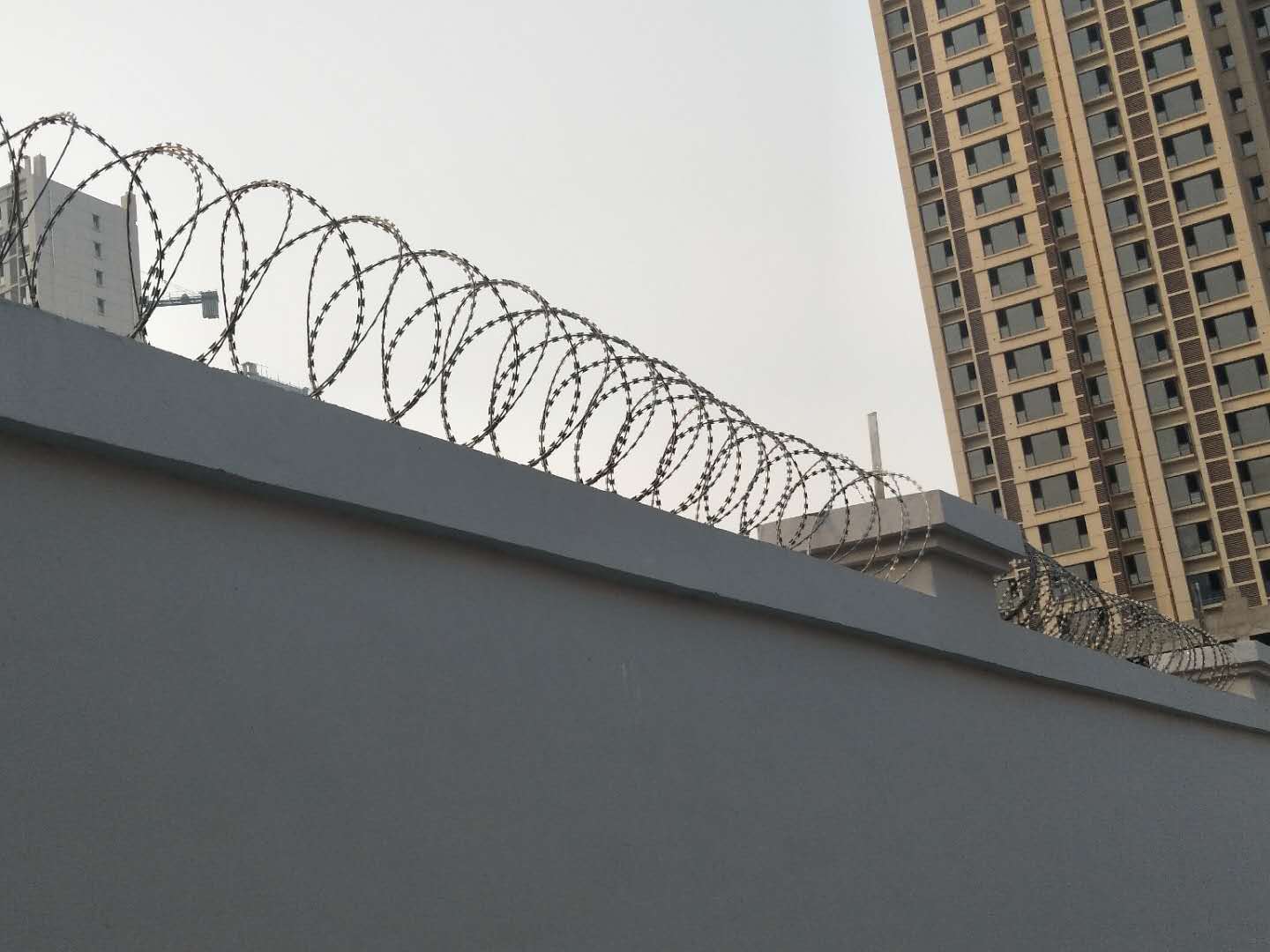 鍍鋅螺旋式*刺繩護(hù)欄網(wǎng)/圍欄網(wǎng)生產(chǎn)廠家