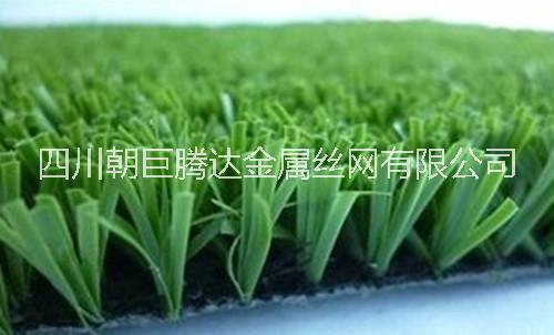 成都綠化草坪、成都假草坪批發(fā)、成都人工草坪、成都運動場草坪、成都塑料草坪
