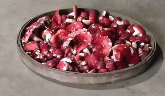 大桂北高寒山區(qū)的生態(tài)*靈芝 靈芝 靈芝菌 *靈芝 *靈芝批發(fā) 靈芝批發(fā)價(jià)格 靈芝菌批發(fā)價(jià)格 *靈芝價(jià)格靈芝菌批發(fā)