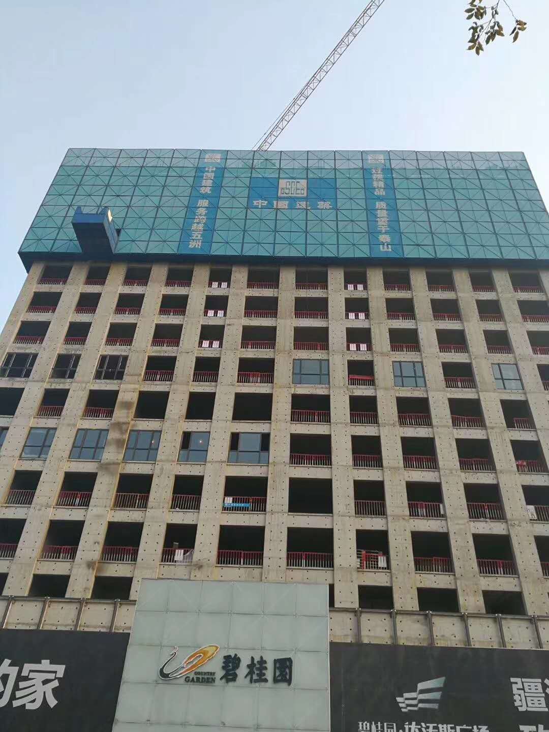 供應(yīng)碧桂園博昇全鋼集成爬架銷售半鋼爬架租賃鋼板網(wǎng)片出租鋁模