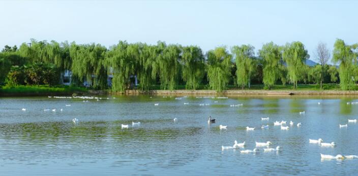 溧陽天目四季春生態(tài)園｜溧陽水果采摘