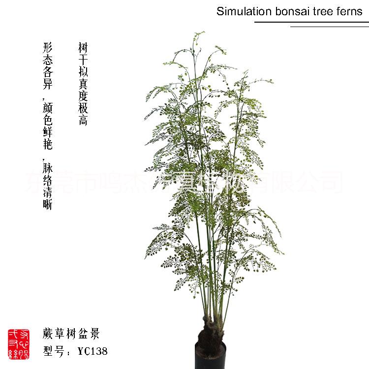 仿真波斯葉蕨草盆景羊齒蕨水杉葉巴 熱帶仿真波斯蕨草盆景 熱帶仿真波斯蕨草盆景供應(yīng)商 熱帶仿真波斯蕨草盆景YC138