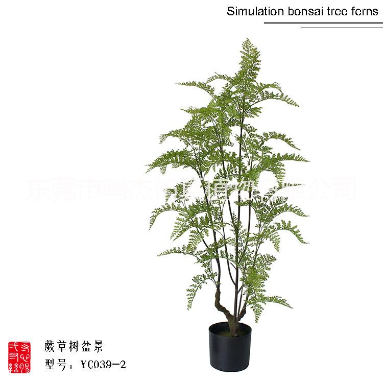 仿真波斯葉蕨草盆景羊齒蕨水杉葉巴 熱帶仿真波斯蕨草盆景 熱帶仿真波斯蕨草盆景供應商 熱帶仿真波斯蕨草盆景YC039