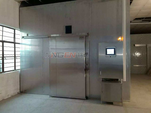 低溫高濕解凍機  進(jìn)口牛肉解凍設(shè)備廠家供應(yīng)